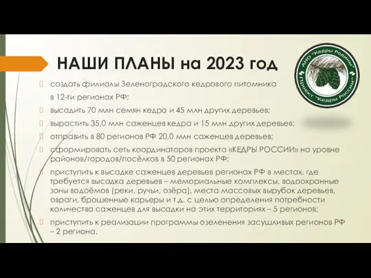 НАШИ ПЛАНЫ на 2023 год создать филиалы Зеленоградского кедрового питомника в 12-ти