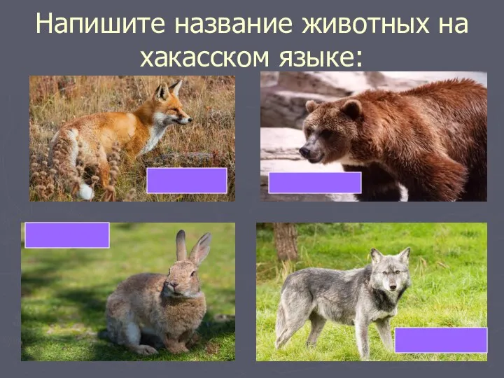 Напишите название животных на хакасском языке: