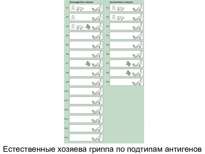 Естественные хозяева гриппа по подтипам антигенов