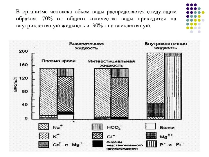 В организме человека объем воды распределяется следующим образом: 70% от общего количества