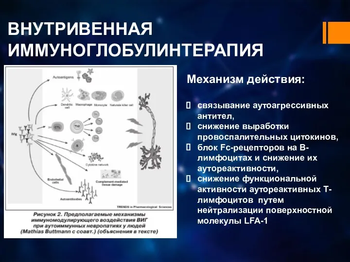 ВНУТРИВЕННАЯ ИММУНОГЛОБУЛИНТЕРАПИЯ Механизм действия: связывание аутоагрессивных антител, снижение выработки провоспалительных цитокинов, блок