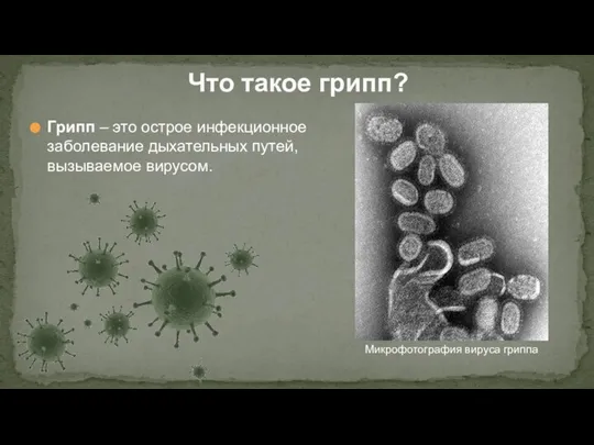 Грипп – это острое инфекционное заболевание дыхательных путей, вызываемое вирусом. Что такое грипп? Микрофотография вируса гриппа