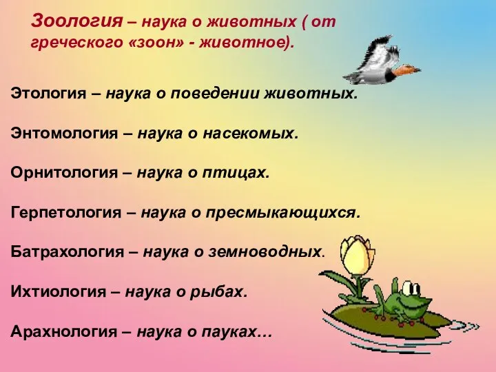 Этология – наука о поведении животных. Энтомология – наука о насекомых. Орнитология