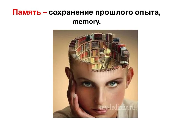 Память – сохранение прошлого опыта, memory.