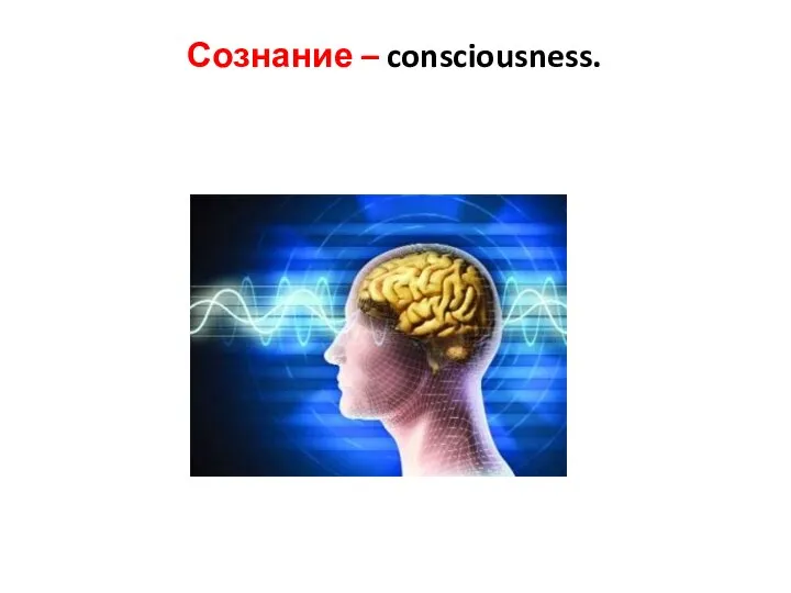 Сознание – consciousness.