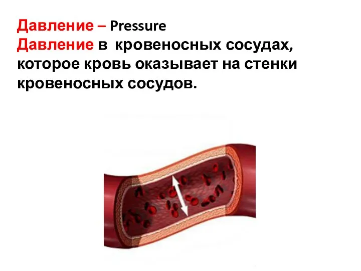 Давление – Pressure Давление в кровеносных сосудах, которое кровь оказывает на стенки кровеносных сосудов.
