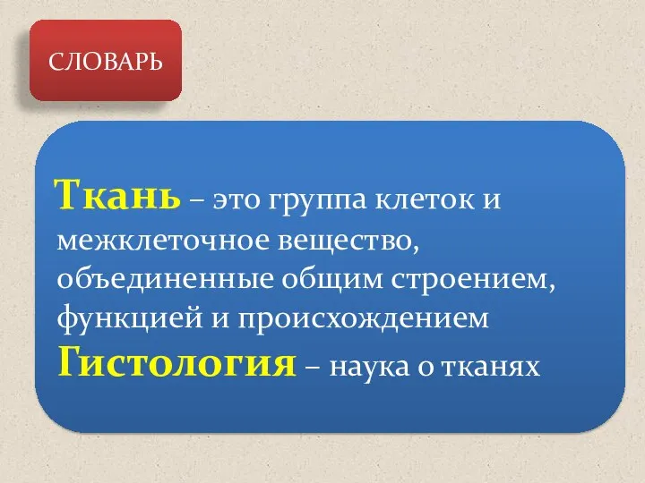 СЛОВАРЬ Ткань – это группа клеток и межклеточное вещество, объединенные общим строением,