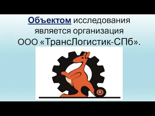 Объектом исследования является организация ООО «ТрансЛогистик-СПб».