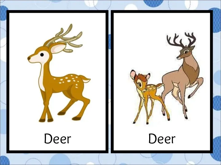 Deer Deer