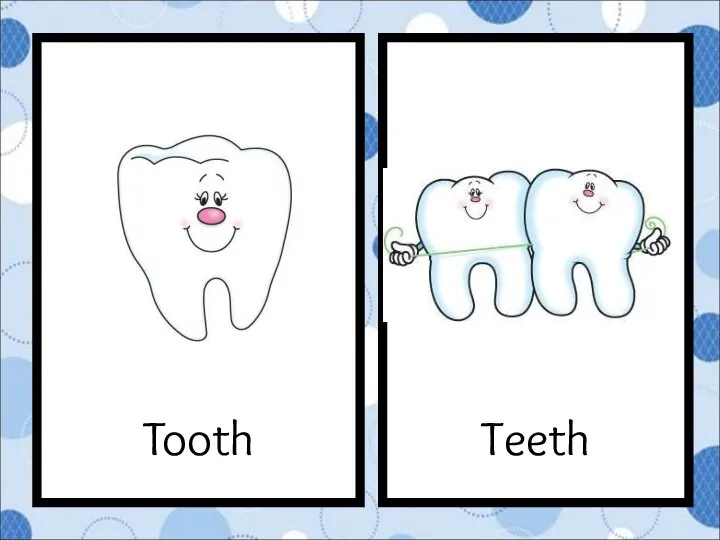 Teeth Tooth