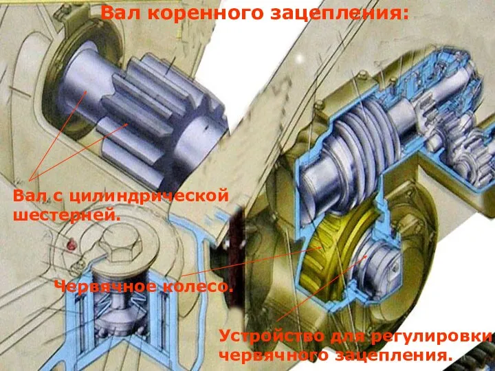 Вал коренного зацепления: Вал с цилиндрической шестерней. Червячное колесо. Устройство для регулировки червячного зацепления.