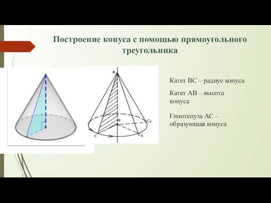 Построение конуса с помощью прямоугольного треугольника Катет ВС – радиус конуса Катет