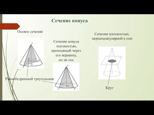 Сечение конуса Осевое сечение Сечение плоскостью, перпендикулярной к оси Сечение конуса плоскостью,