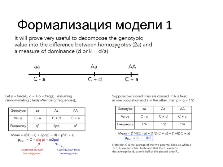 Формализация модели 1