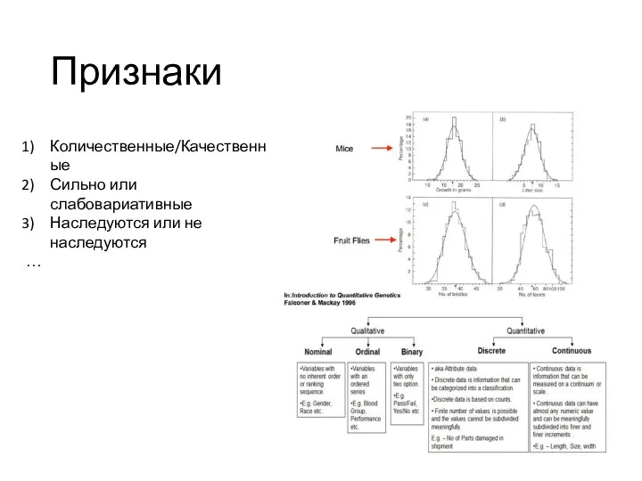 Признаки Количественные/Качественные Сильно или слабовариативные Наследуются или не наследуются …