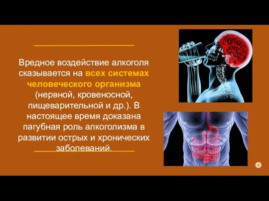 Вредное воздействие алкоголя сказывается на всех системах человеческого организма (нервной, кровеносной, пищеварительной