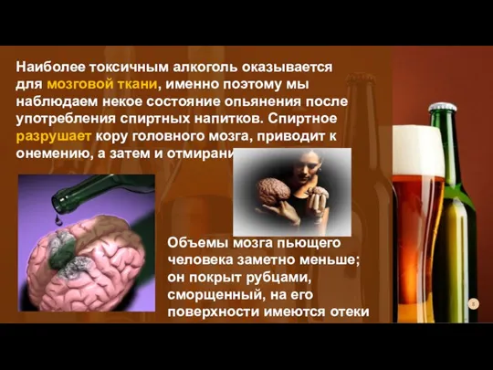 Наиболее токсичным алкоголь оказывается для мозговой ткани, именно поэтому мы наблюдаем некое