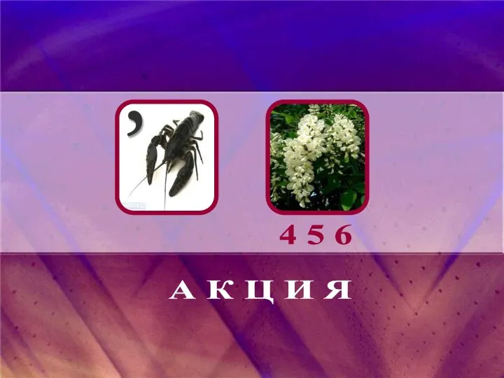 А К Ц И Я 4 5 6