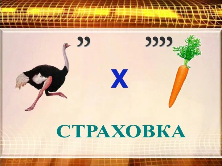 СТРАХОВКА