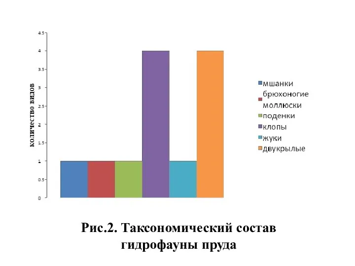 Рис.2. Таксономический состав гидрофауны пруда