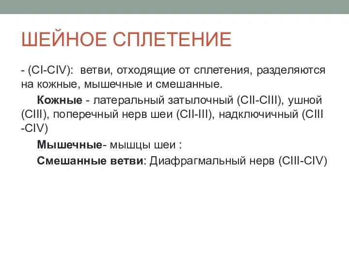 ШЕЙНОЕ СПЛЕТЕНИЕ - (СI-CIV): ветви, отходящие от сплетения, разделяются на кожные, мышечные