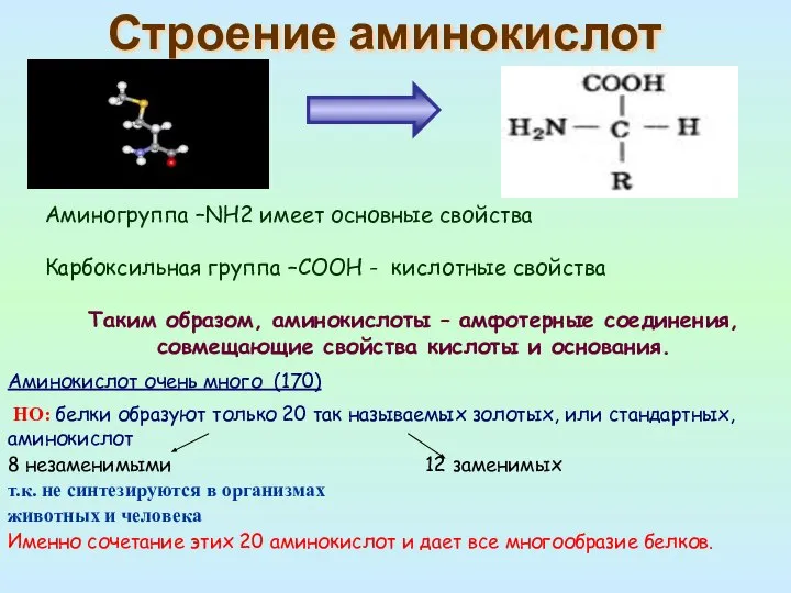 Строение аминокислот Аминогруппа –NH2 имеет основные свойства Карбоксильная группа –СООН - кислотные