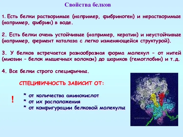 1. Есть белки растворимые (например, фибриноген) и нерастворимые (например, фибрин) в воде.