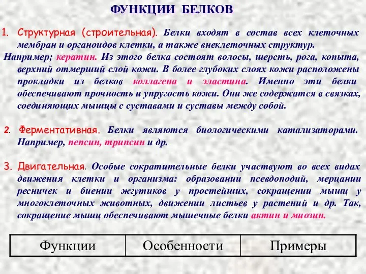 Структурная (строительная). Белки входят в состав всех клеточных мембран и органоидов клетки,