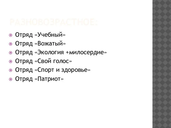 РАЗНОВОЗРАСТНОЕ: Отряд «Учебный» Отряд «Вожатый» Отряд «Экология +милосердие» Отряд «Свой голос» Отряд