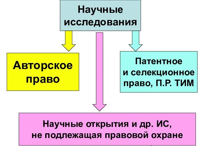 Научные исследования Авторское право Патентное и селекционное право, П.Р. ТИМ Научные открытия