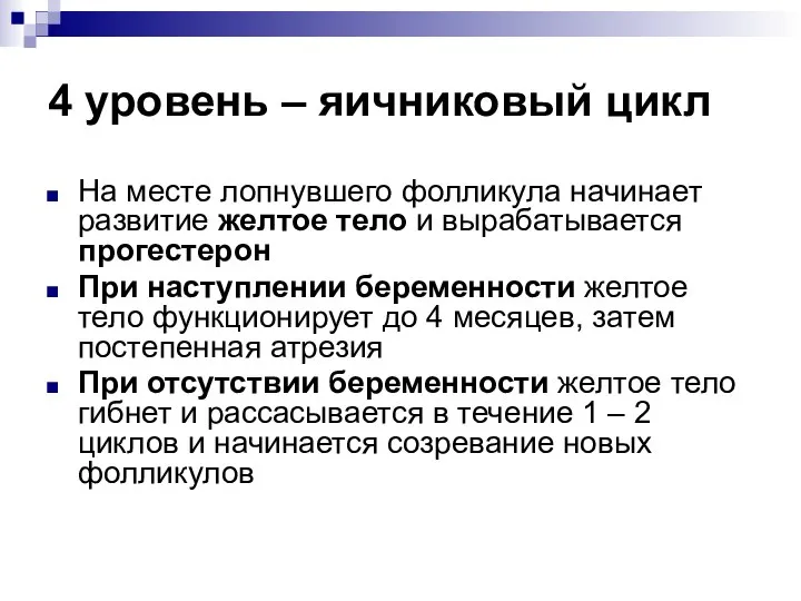 4 уровень – яичниковый цикл На месте лопнувшего фолликула начинает развитие желтое