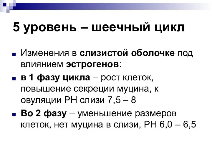 5 уровень – шеечный цикл Изменения в слизистой оболочке под влиянием эстрогенов: