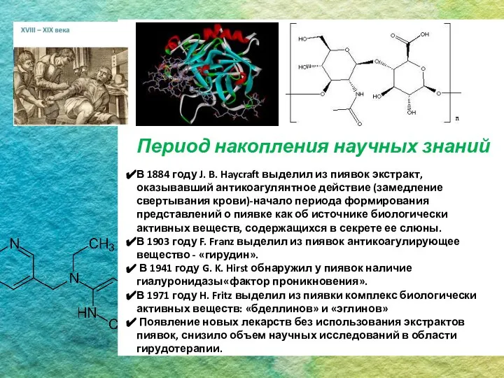 + Период накопления научных знаний В 1884 году J. B. Haycraft выделил