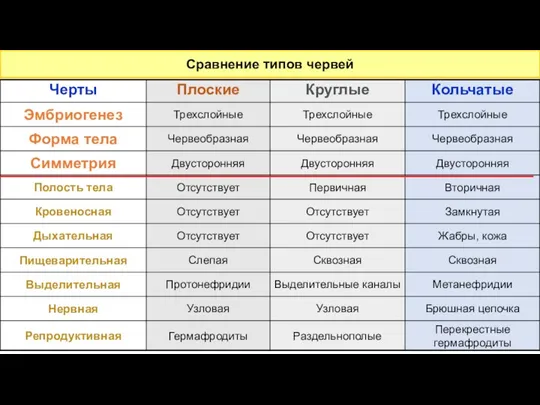 Сходства и различия червей Сравнение типов червей