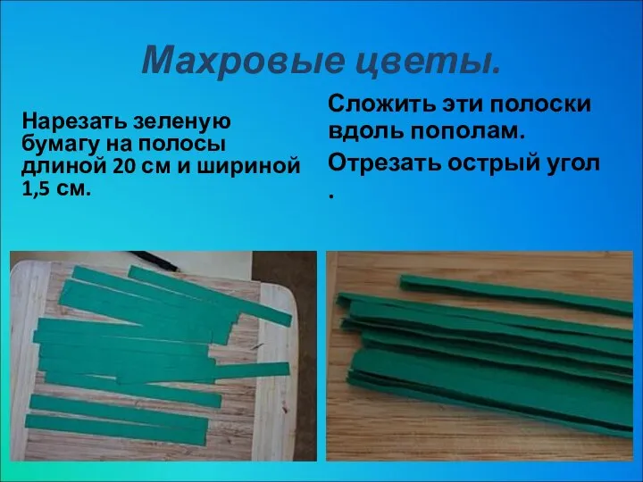 Махровые цветы. Нарезать зеленую бумагу на полосы длиной 20 см и шириной