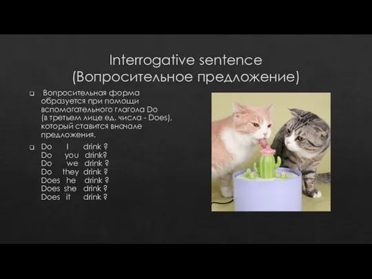 Interrogative sentence (Вопросительное предложение) Вопросительная форма образуется при помощи вспомогательного глагола Do