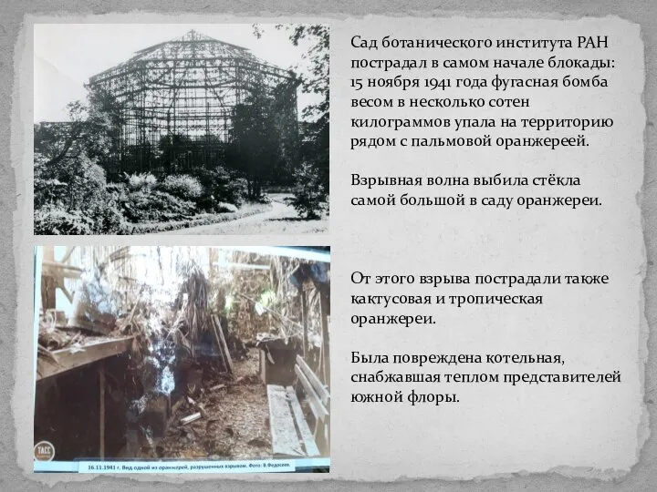 Сад ботанического института РАН пострадал в самом начале блокады: 15 ноября 1941