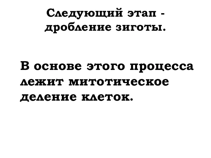 Следующий этап - дробление зиготы. В основе этого процесса лежит митотическое деление клеток.