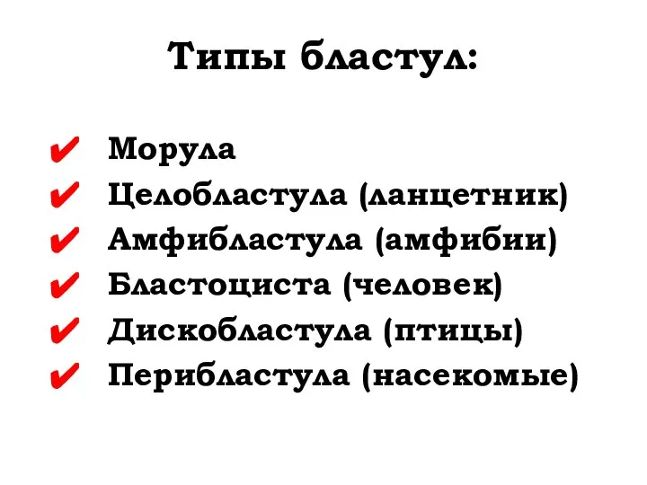 Типы бластул: Морула Целобластула (ланцетник) Амфибластула (амфибии) Бластоциста (человек) Дискобластула (птицы) Перибластула (насекомые)