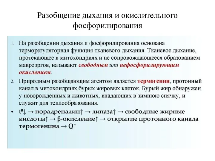 Разобщение дыхания и окислительного фосфорилирования