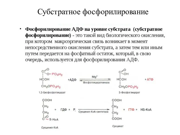 Субстратное фосфорилирование