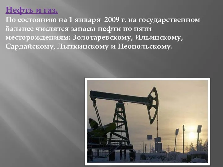 Нефть и газ. По состоянию на 1 января 2009 г. на государственном