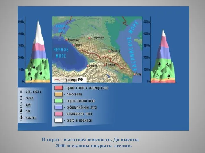 В горах - высотная поясность. До высоты 2000 м склоны покрыты лесами.