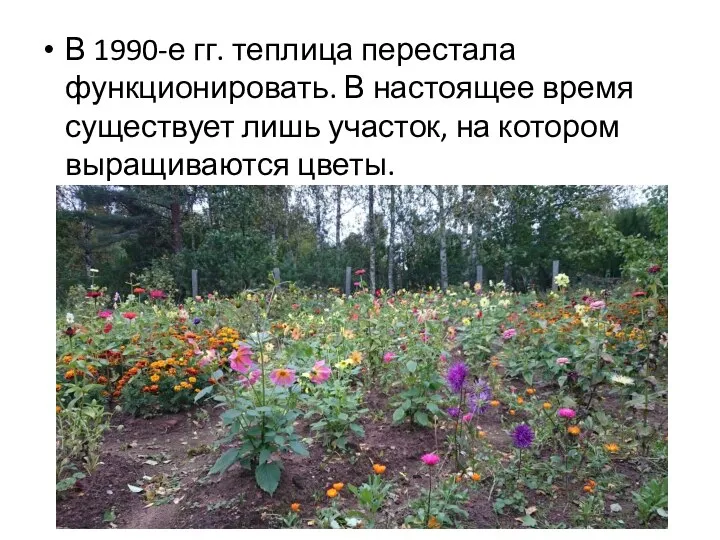 В 1990-е гг. теплица перестала функционировать. В настоящее время существует лишь участок, на котором выращиваются цветы.