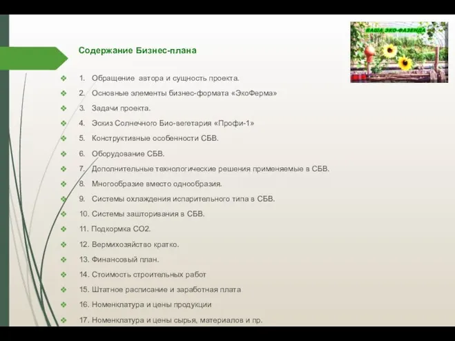 Содержание Бизнес-плана 1. Обращение автора и сущность проекта. 2. Основные элементы бизнес-формата