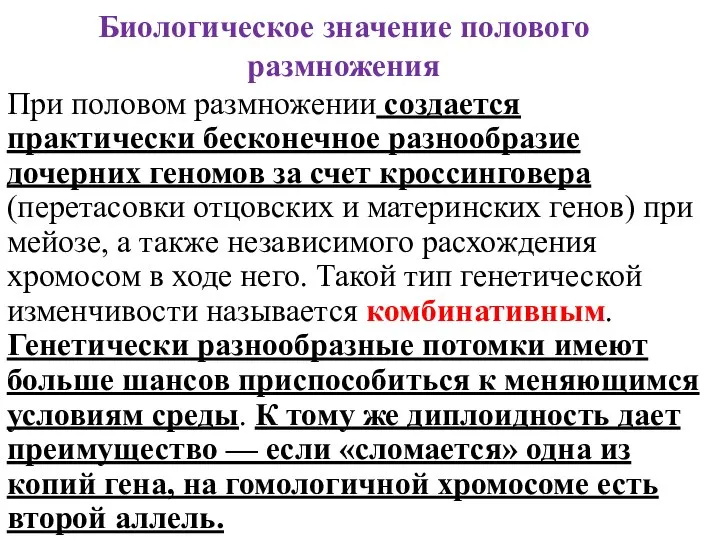 Биологическое значение полового размножения При половом размножении создается практически бесконечное разнообразие дочерних