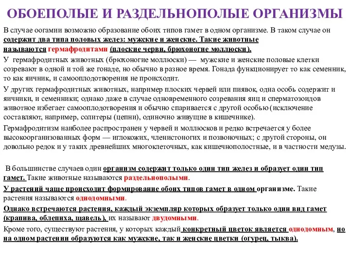 ОБОЕПОЛЫЕ И РАЗДЕЛЬНОПОЛЫЕ ОРГАНИЗМЫ В случае оогамии возможно образование обоих типов гамет