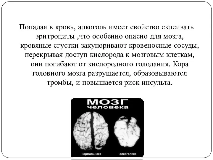 Попадая в кровь, алкоголь имеет свойство склеивать эритроциты ,что особенно опасно для