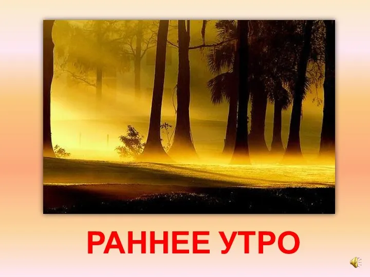 РАННЕЕ УТРО