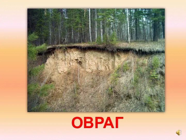 ОВРАГ